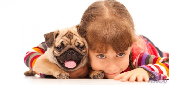 Hora de ensinar seu filho a cuidar do pet