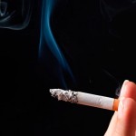 Os riscos da fumaça do cigarro para os pets