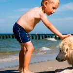 Risco à beira mar para os cães