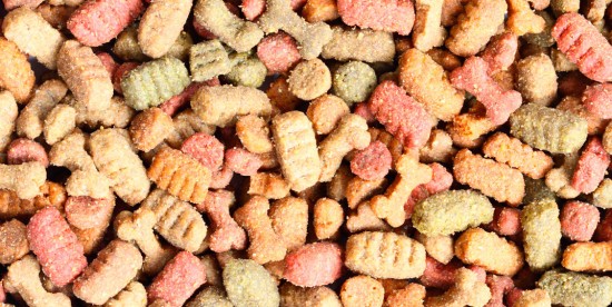 Superlojas e pet shops puxam vendas de comida pet