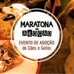 Uma maratona em nome da adoção de animais