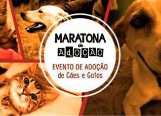 Uma maratona em nome da adoção de animais