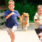 Esportes e exercícios na companhia de pets
