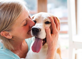 Pets com tratamento de verdadeiros filhos