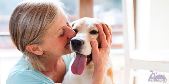 Pets com tratamento de verdadeiros filhos