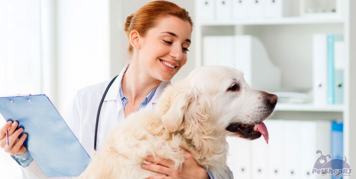 Desafios das ciências veterinárias em foco