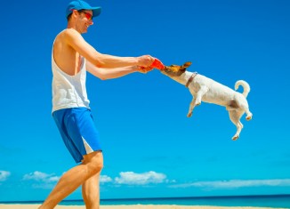 Serviços sob medida para pets